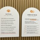 애견미용샵 조이 이미지