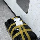 엑스퍼위탁급식소 | 2026 핀둬둬 직구 통관 배송 후기 (+자세한 방법, 주의사항) 알리테무타바보다 훨씬 쌈