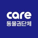 케어로 이미지