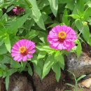 제주 올레길 19코스 이미지