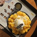 설빙 울진점 | 무계획 울진 여행 후기(망양휴게소, 중국집 예원, 스카이레일, 프리다타코)