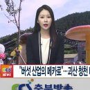 청천랜드 이미지