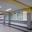 용인대 수 태권도장 이미지