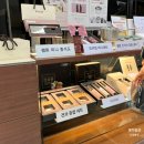 아이비국제웨딩 | W1-2. 대구 웨딩홀 투어 수성호텔 홀비교 아이비홀 밝은홀 27년 하반기 견적 상담 후기
