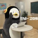 올드 팝으로 배우는 영어 티스토리
