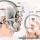 솔곡