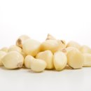 내몸애찬 이미지