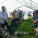 청솔하우스 이미지