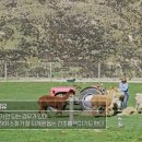 민호목장 네이버블로그