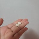 쑥앤정 네이버블로그