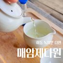 다원다방 | 하동 여행 가볼만한곳 매암제다원 방문후기