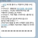 호약국 | 후쿠오카 배편 부산국제여객터미널에서 하카타항 뉴카멜리아호 탑승방법 내돈내산 솔직후기
