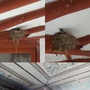 제비네 농장2 이미지