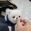 럽마이데이즈