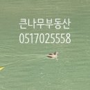 송원공인중개사사무소 이미지