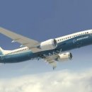 Which airlines use the Boeing 737 Max 8? 이미지