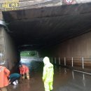 알미산로 이미지