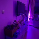 GS25 머드광장점 이미지