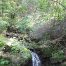 용문산야생화마을 이미지