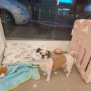 아름스파 이미지