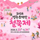 경북장식 | [영주 가볼만한곳] 2026 영주 소백산 철쭉제 기간·주차 총정리｜아이와 가기 좋은 죽령옛길 코스 추천
