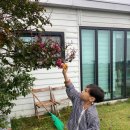 성인당 이미지