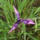 아름다운 그님 이미지