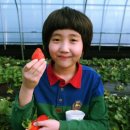 우후농장 네이버블로그