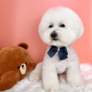 우프루프 이미지