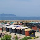 사국민박 이미지