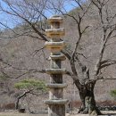 신안사 이미지