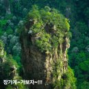 삼겹천하돈미돈미영주점 | 4박 5일 중국 장가계 699,000원으로 해외여행 가능할까요?