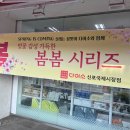 다이소신포국제시장점 이미지