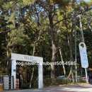 [내돈내산]금정산성 아이리