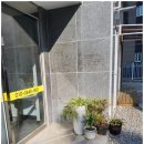 스텔라 펜션 이미지