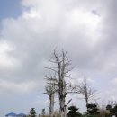 청태산목장 이미지