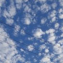 하늘을 향하여 이미지