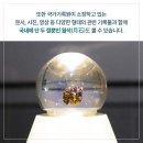 우주기획 이미지