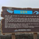 넙빌레스토리