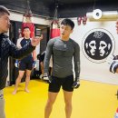 팀 매드 이미지