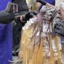 동백살롱 이미지