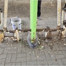 탄중로471번길 이미지