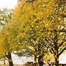 장림 경로당 이미지