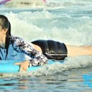 코코넛19 이미지