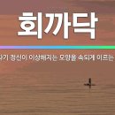 어원 이미지