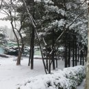 남행열차노래연습장 이미지