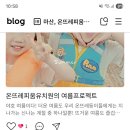 온뜨레피움유치원