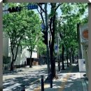 더도움세무회계