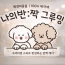 나의 반짝 그루밍 네이버블로그