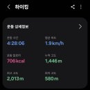 금손아로마